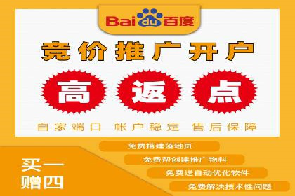 成功运用SEM服务实现品牌推广的案例分析